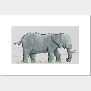 Traveling Elephant Posters and Art